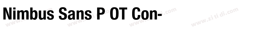 Nimbus Sans P OT Con字体转换 Nimbus Sans P OT Con字体转换